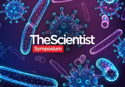 New Strategies in the Battle Against Infectious Diseases